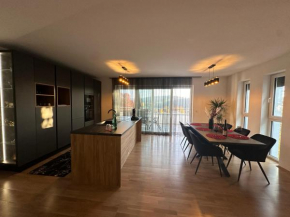 White Luxury Villa Haslach An Der Mühl
